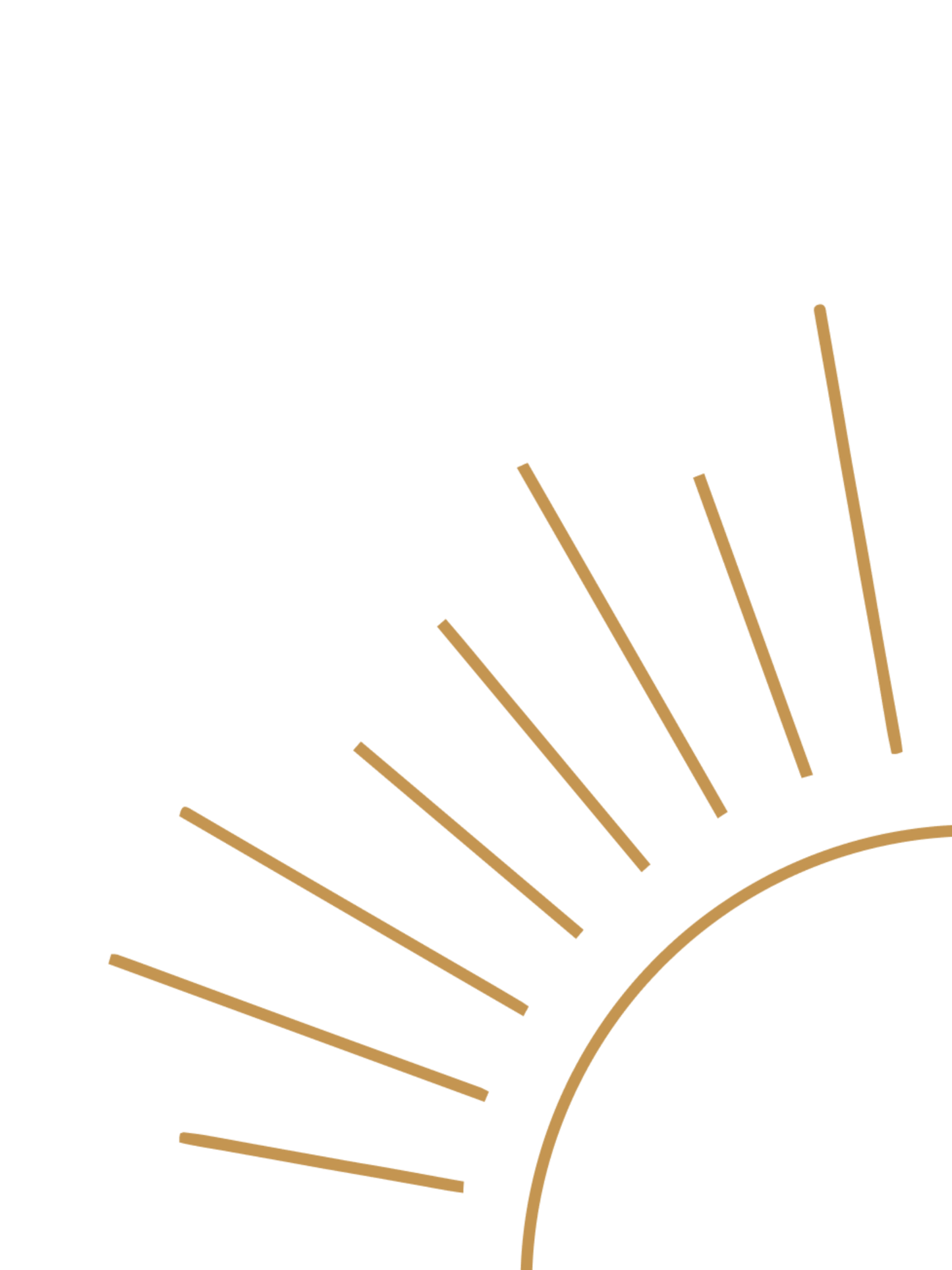 Twin Nursery Sunshine