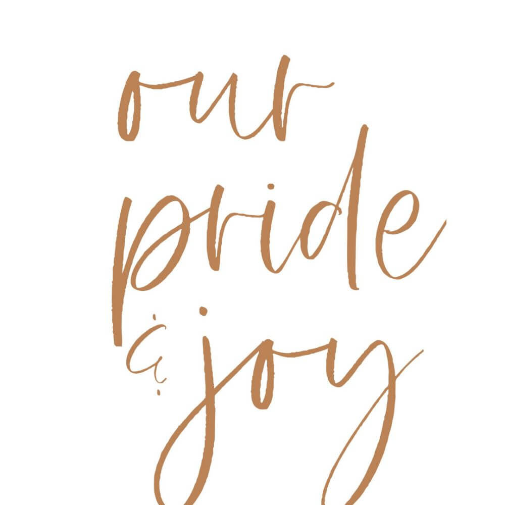 598 baby boy our pride and joy