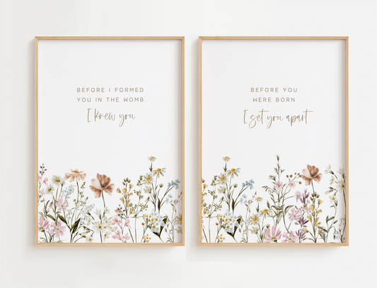 Before I Formed You in the Womb