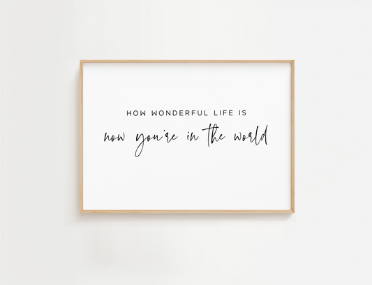 How Wonderful Life Is