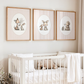 Nursery room with white crib and framed animal prints on the wall.