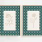 Two framed botanical prints with decorative green frames on a white background