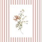 Wildflower Botanical Print Set – Farmhouse Cottagecore Wall Art