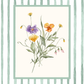 Floral illustration in a rectangular frame on a striped background