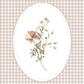 Floral illustration in an oval frame on a checkered background