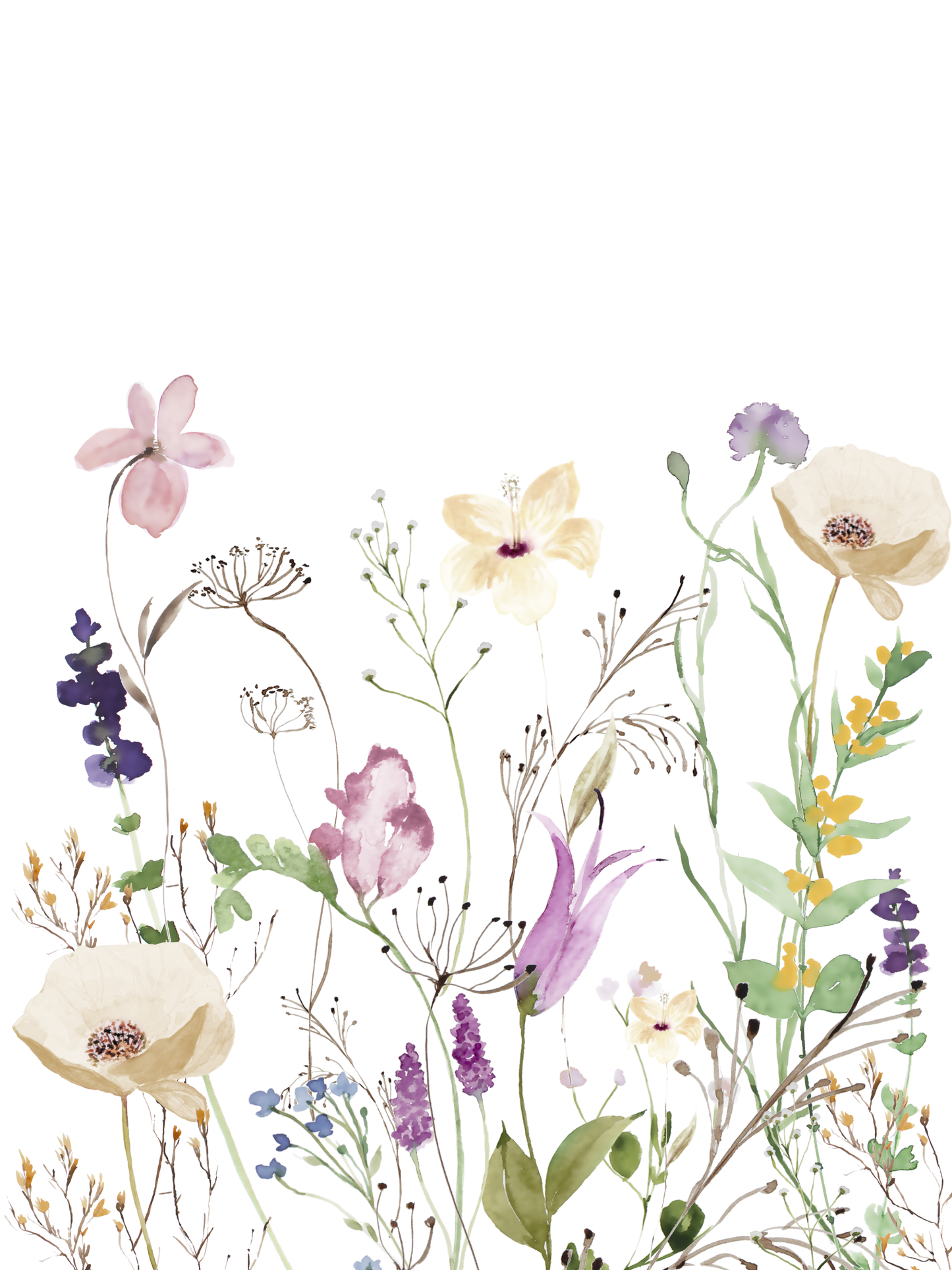 Purple and Orange Wildflowers