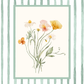 Floral illustration on a striped background