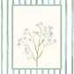 Framed botanical illustration with a striped background