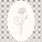 Retro Wall Art, Vintage Wall Decor, Botanical Print Set of 3