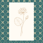 Decorative design with floral patterns and a central plant illustration on a teal background.