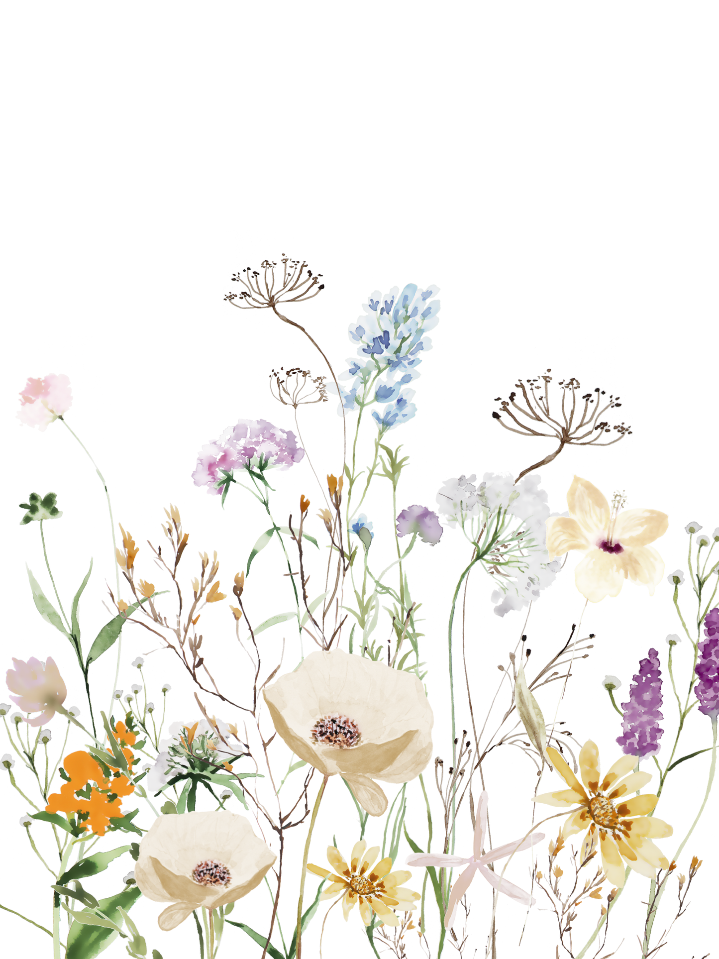 Purple and Orange Wildflowers