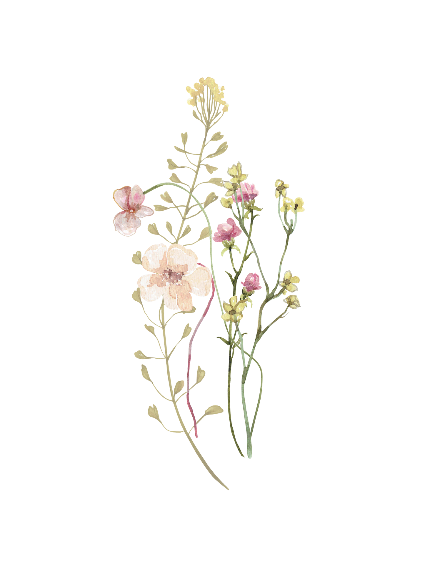 Vintage Pink and Yellow Flowers