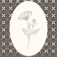 Retro Wall Art, Vintage Wall Decor, Botanical Print Set of 3