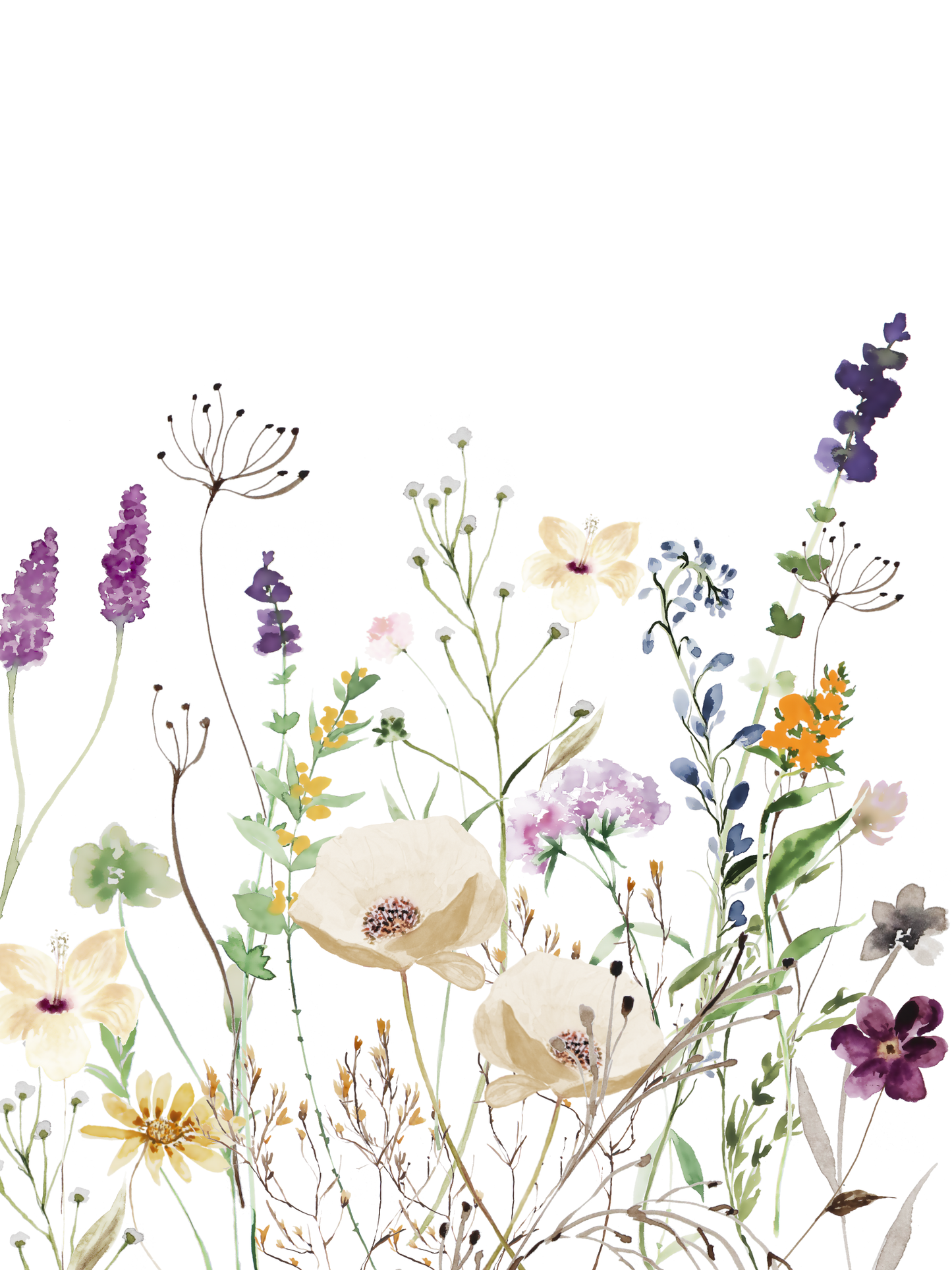 Purple and Orange Wildflowers