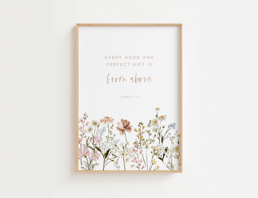 James 1:17 Bible Verse