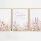 Lavender and Pink Flowers