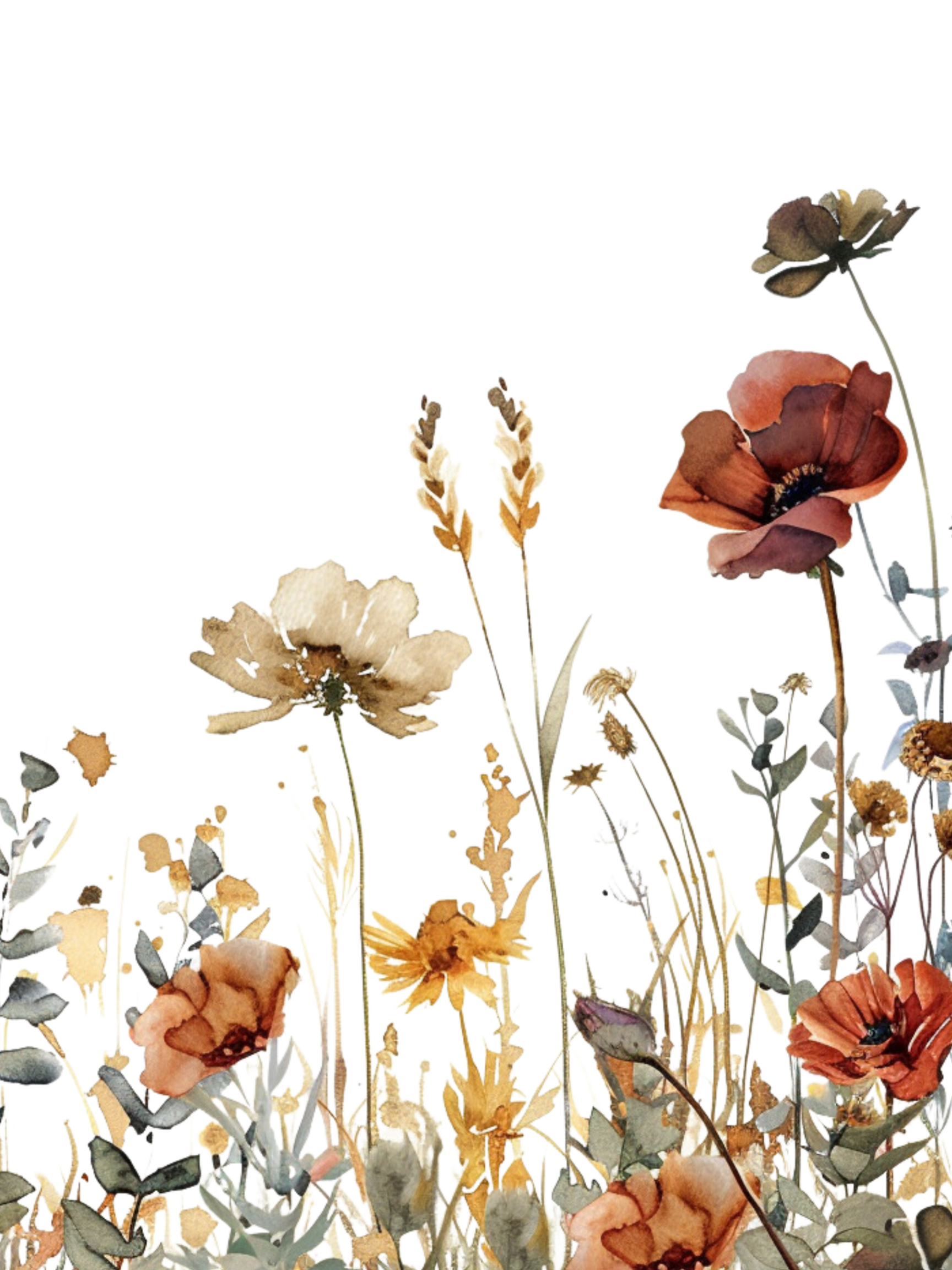 Flower wall art set of 3 featuring burgundy, orange, and cream color wildflowers. Set of 3 floral prints for bedroom, living room or kitchen.