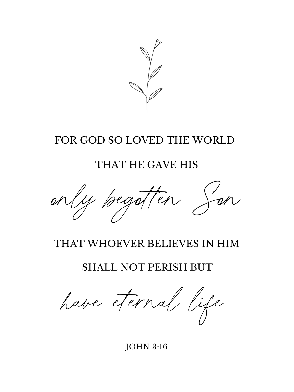 John 3:16 Scripture wall art with delicate botanical line drawing