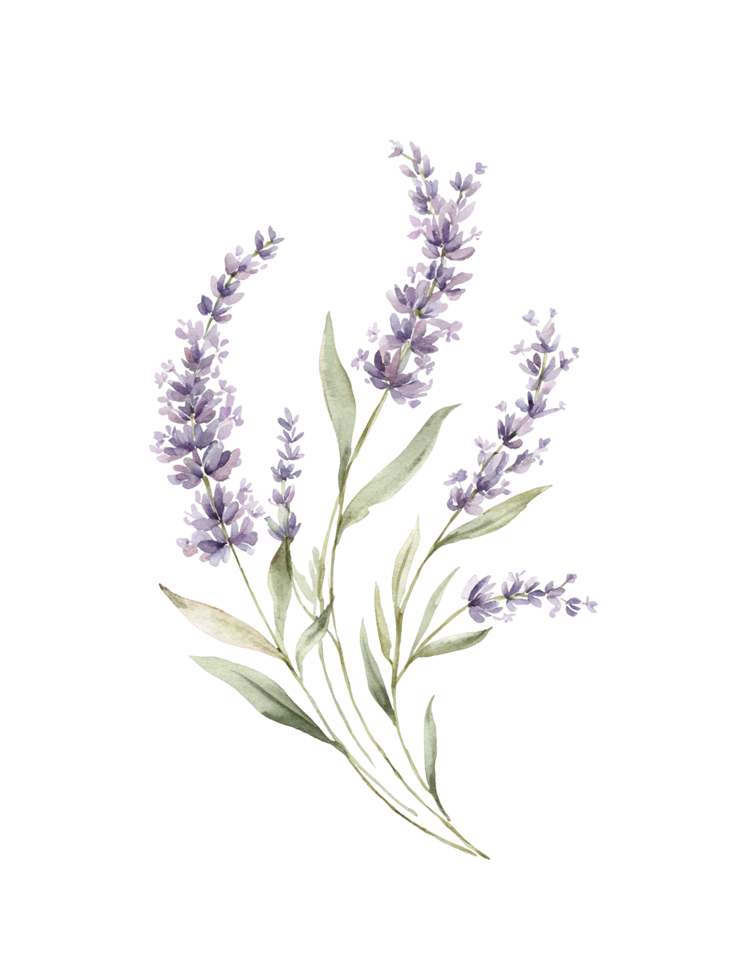 Lavender flower wall art in shades of purple with sage leaves. 