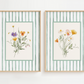 Two framed botanical prints with striped backgrounds on a white wall.