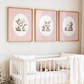 Nursery room with framed illustrations of animals above a crib.