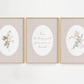 Three framed prints with floral designs and text on a white background