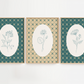 Three framed botanical prints with decorative patterns on a white background
